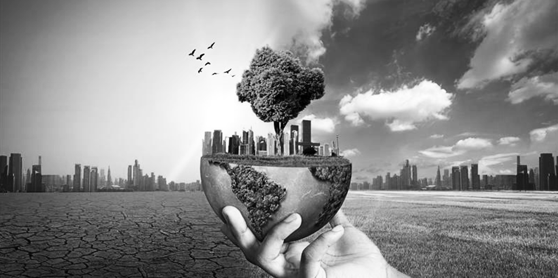 AI-driven ESG strategies for traders and investors – how to spot value in a sea of vanity metrics