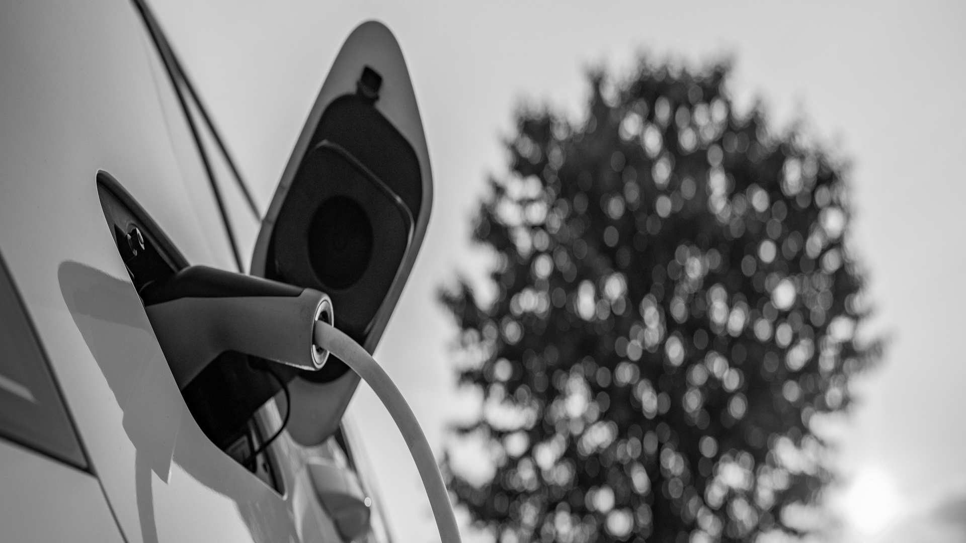 Tesla Q2 2025 earnings: Elon Musk focuses on Robotaxi as EV struggles persist